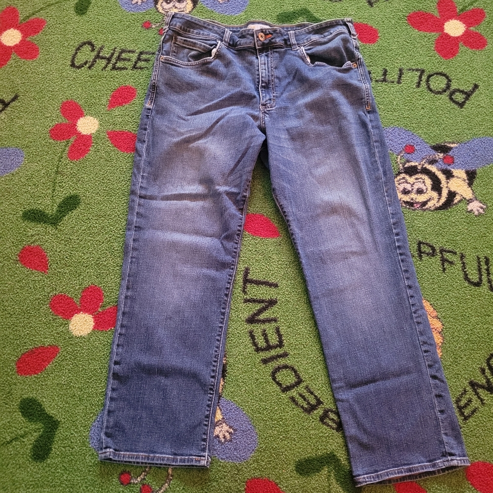 Men's Lee Jeans Straight Fit Straight Leg Size 40x30